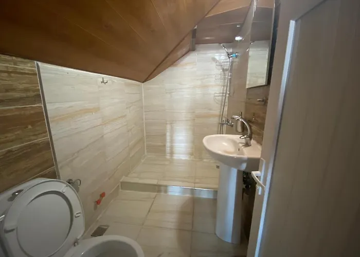 公寓式酒店 骆驼公寓式酒店 3*