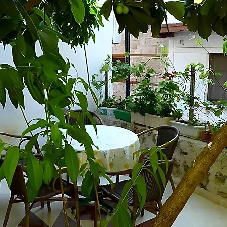 Camel Apartment 3*